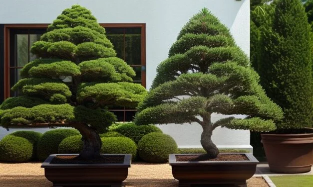 羅漢松栽培全攻略：種植、照護、修剪與盆栽技巧大全