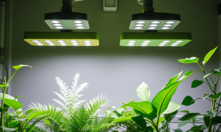 告別「感覺差不多」！2025室內植物光照終極指南：用數據養出雜誌級美葉